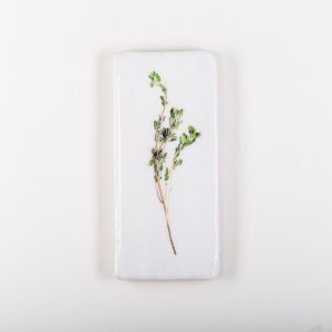 interieur, winkel, binnenwerk, Leeuwarden, hout, fotografie, kunst, decoratie, vis, vissen, groente, kruiden, stigerwoods, merk